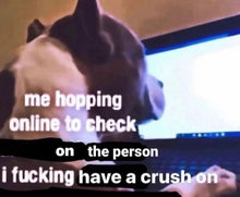 Load image into Gallery viewer, Crush Hoodie
