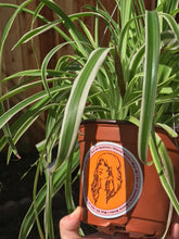 Load image into Gallery viewer, Stevie Nicks Gemini Sticker