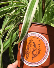 Load image into Gallery viewer, Stevie Nicks Gemini Sticker