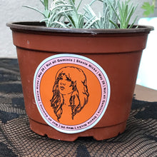 Load image into Gallery viewer, Stevie Nicks Gemini Sticker