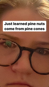 Did You Know? Pine Nuts Come From Pine Trees Mug