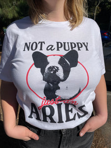 Not A Puppy, Just An Aries